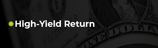 Investors High Yield Return